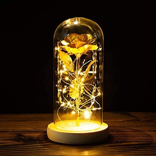 Personalized Flower Nightlight Eternity Rose LED light Valentine's Day Gift