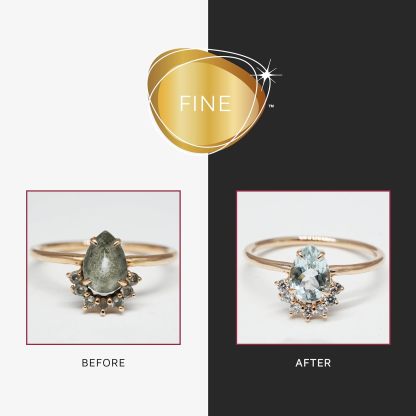 Premium Edition Jewelry Cleaner, Value Size 9.6oz - Pick from Fine, Silver or Delicate Jewelry Cleaner