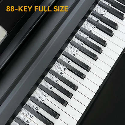Removable Piano Keyboard Note Labels For Piano Beginners
