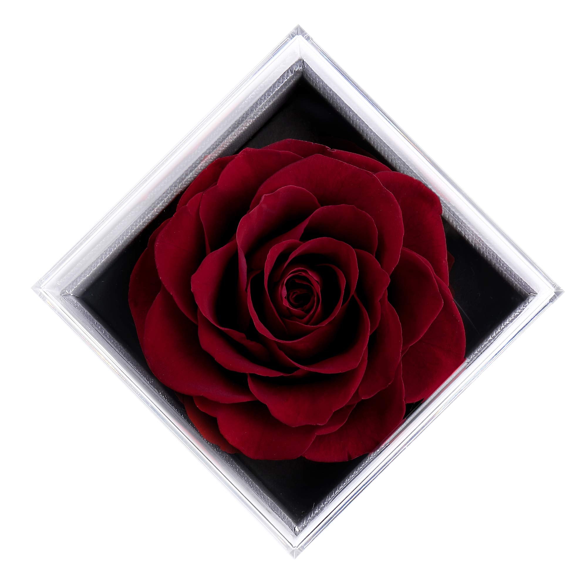 Mother's Day Gift SHIPS 24-HOURS Magnetic Couple Diamond "I Love You" in 100 Languages-2 Necklaces set-Engravingift