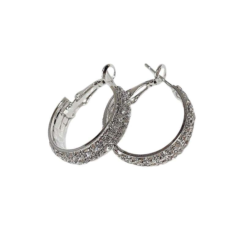 🔥Sparkle Small Hoop Earrings