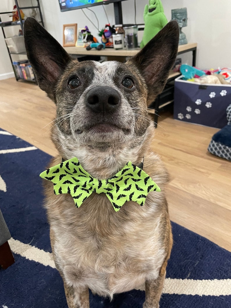 Halloween Dog Bow Tie Dog Bow Ties Bat Dog Bow Ties/ Pet Bow Tie