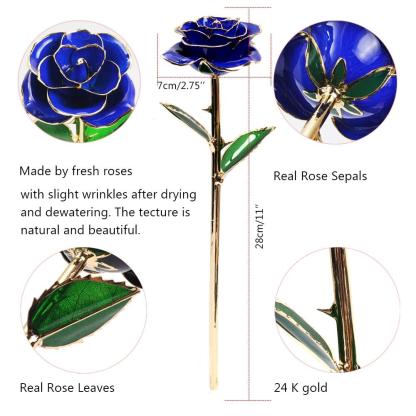Christmas Gift Preserved 24k Gold Long Stem Immortal Rose (3 Styles) 20 Variants NEW Colors 2022