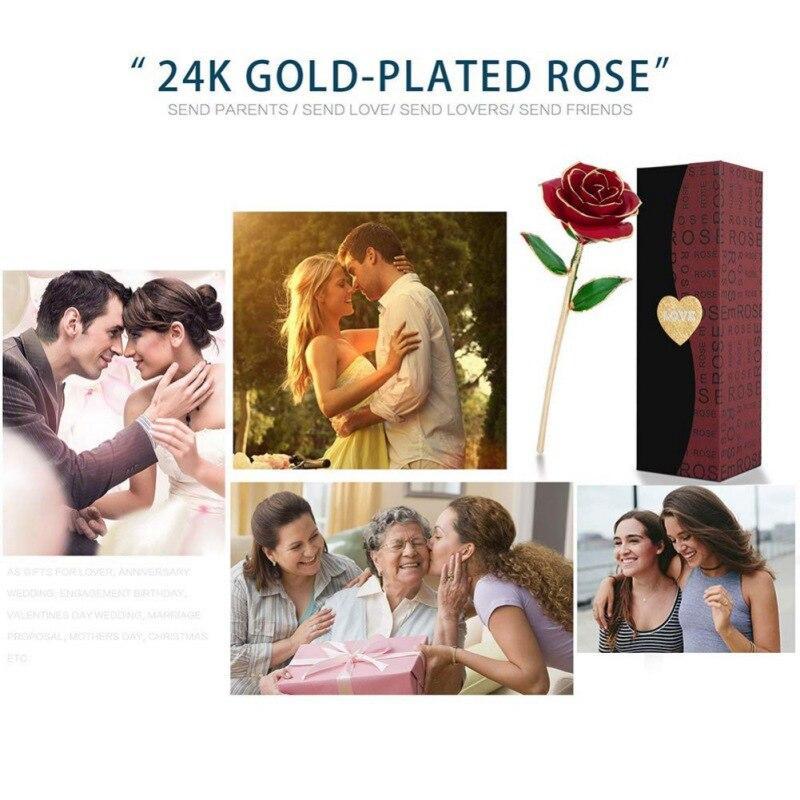 Christmas Gift Preserved 24k Gold Long Stem Immortal Rose (4 colors)