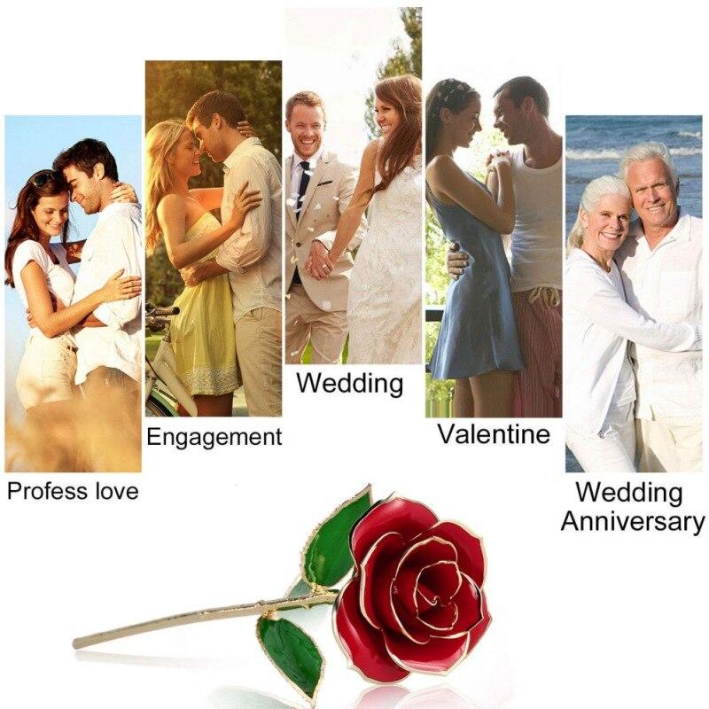 Christmas Gift Preserved 24k Gold Long Stem Immortal Rose (4 colors)