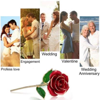 Christmas Gift Preserved 24k Gold Long Stem Immortal Rose (4 colors)