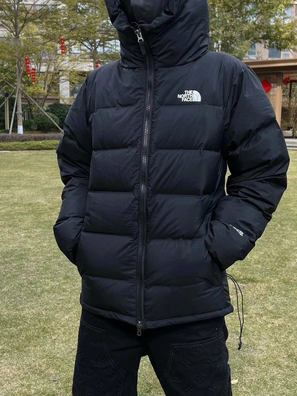 Item ID 8139 “Goretex waterproof fabric - correct 72% Down content ”-TheNorthFace n