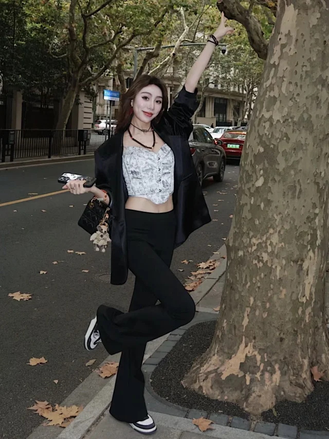 CHANE1 Classic CC Series