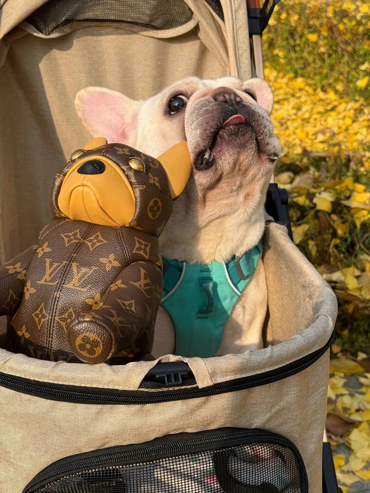 Item ID 8439 Advanced customization -2025ss-Pooch-bag- French bulldog style zipper