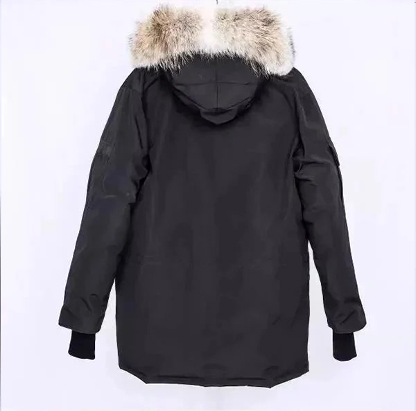 Item ID 8099 Add 5 colors - _Annual - New Material_ - Can Gose - Great Goose - Expe