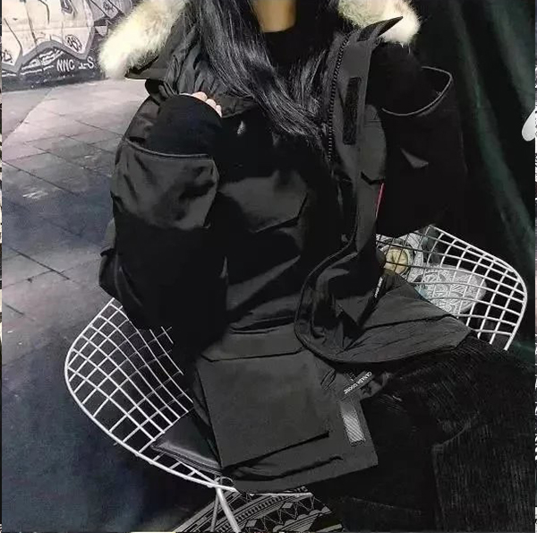 Item ID 8099 Add 5 colors - _Annual - New Material_ - Can Gose - Great Goose - Expe