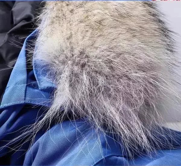 Item ID 8099 Add 5 colors - _Annual - New Material_ - Can Gose - Great Goose - Expe