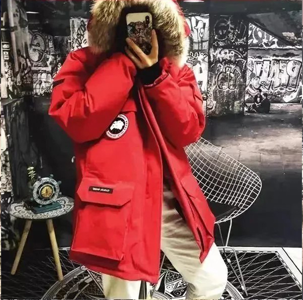 Item ID 8099 Add 5 colors - _Annual - New Material_ - Can Gose - Great Goose - Expe