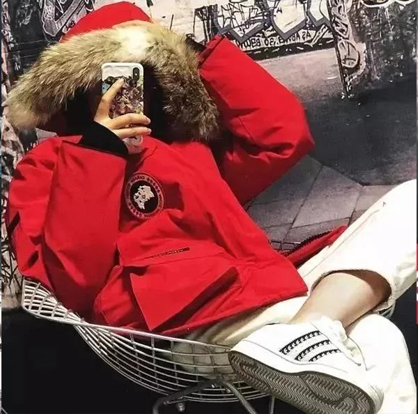 Item ID 8099 Add 5 colors - _Annual - New Material_ - Can Gose - Great Goose - Expe