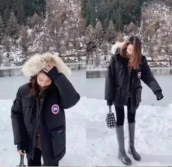 Item ID 8099 Add 5 colors - _Annual - New Material_ - Can Gose - Great Goose - Expe