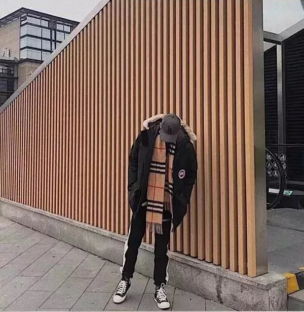 Item ID 8099 Add 5 colors - _Annual - New Material_ - Can Gose - Great Goose - Expe