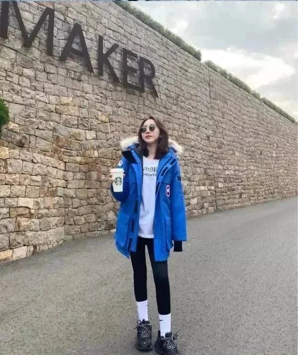 Item ID 8099 Add 5 colors - _Annual - New Material_ - Can Gose - Great Goose - Expe