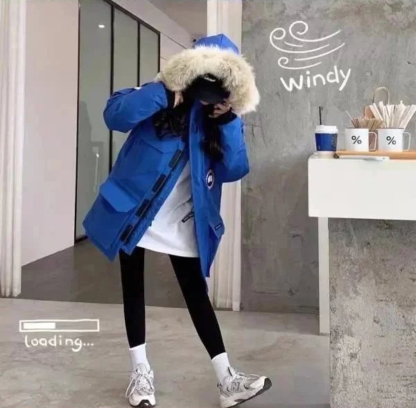 Item ID 8099 Add 5 colors - _Annual - New Material_ - Can Gose - Great Goose - Expe