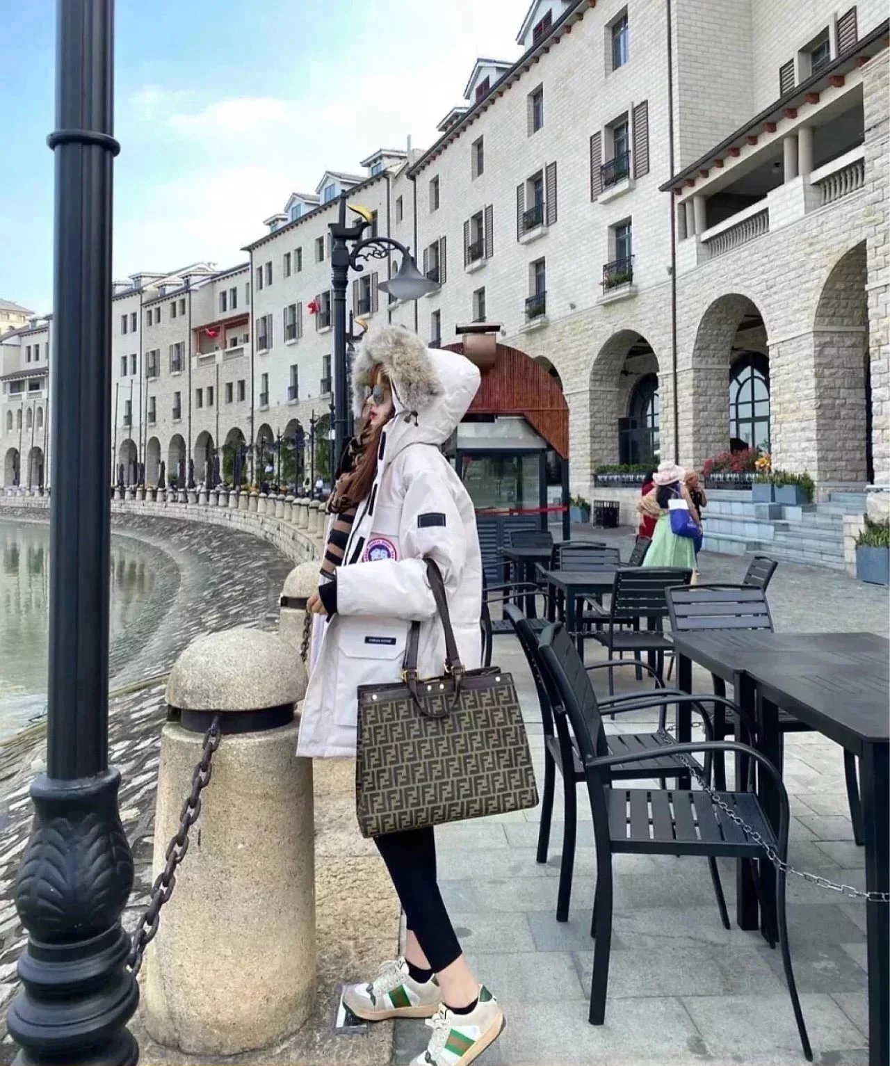 Item ID 8099 Add 5 colors - _Annual - New Material_ - Can Gose - Great Goose - Expe