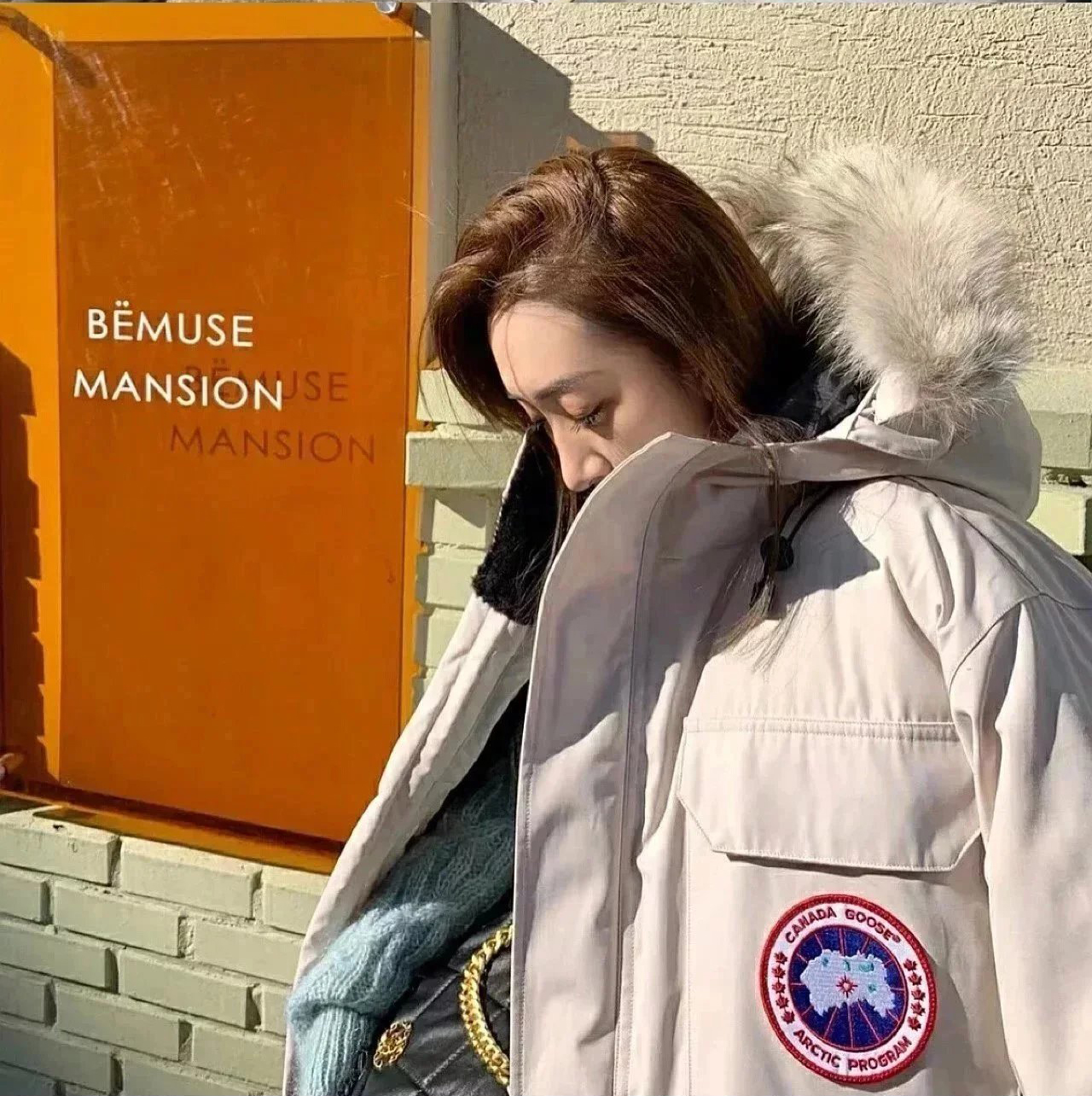 Item ID 8099 Add 5 colors - _Annual - New Material_ - Can Gose - Great Goose - Expe