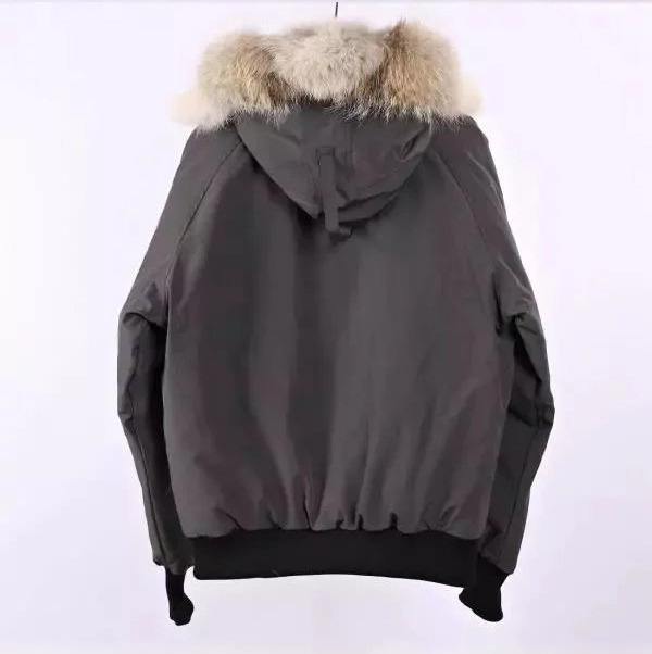 Item ID 8115 Goose brand -01 Expedition short down jacket -( Original wolf hair - F