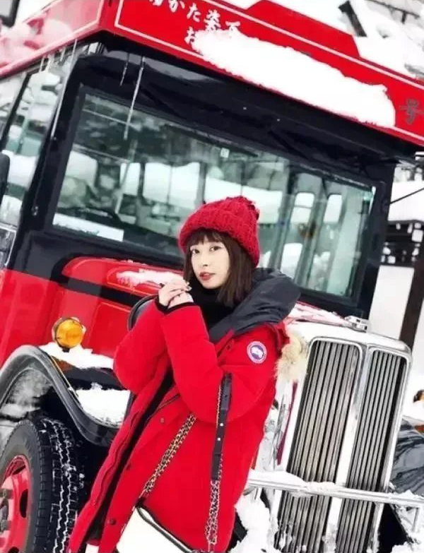 Item ID 8099 Add 5 colors - _Annual - New Material_ - Can Gose - Great Goose - Expe