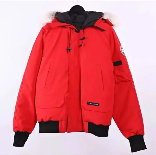 Item ID 8115 Goose brand -01 Expedition short down jacket -( Original wolf hair - F