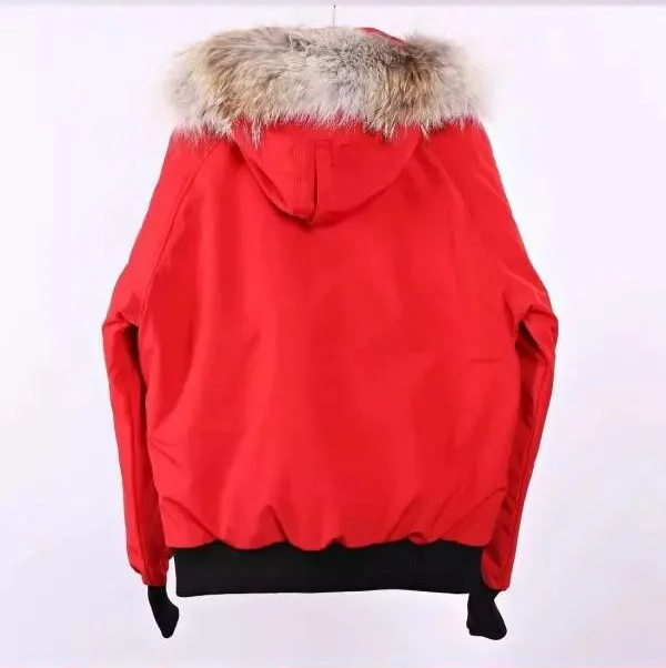 Item ID 8115 Goose brand -01 Expedition short down jacket -( Original wolf hair - F