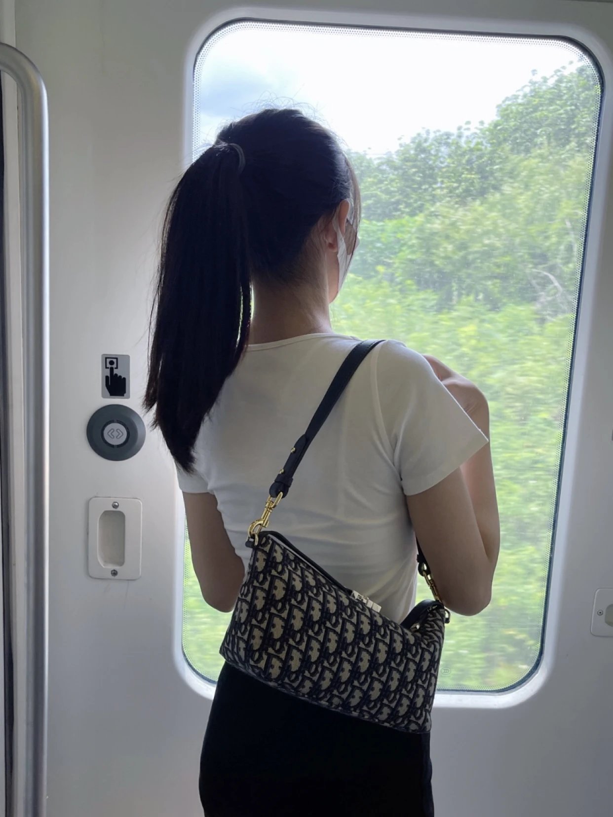 Item ID 8465 D10r-D Home -2024Ss-Oblique Vintage Collection - travel mod - lunch bo