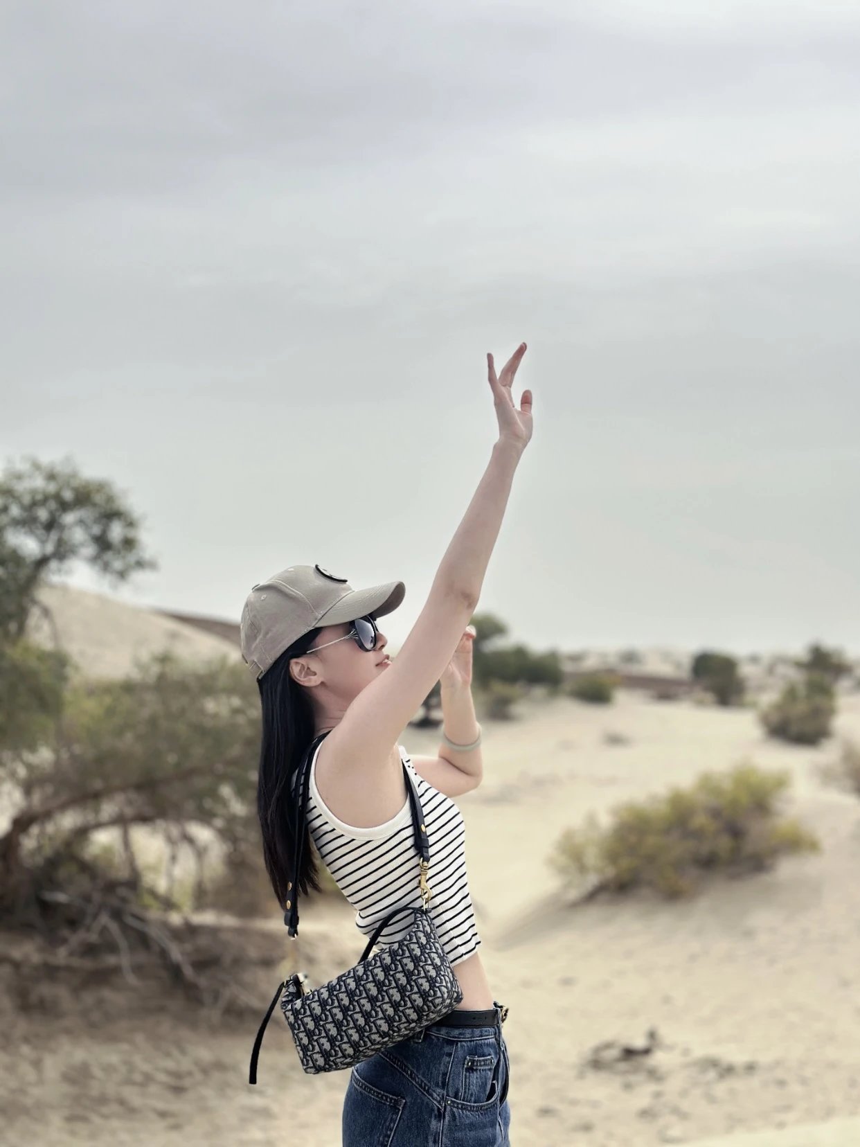 Item ID 8465 D10r-D Home -2024Ss-Oblique Vintage Collection - travel mod - lunch bo