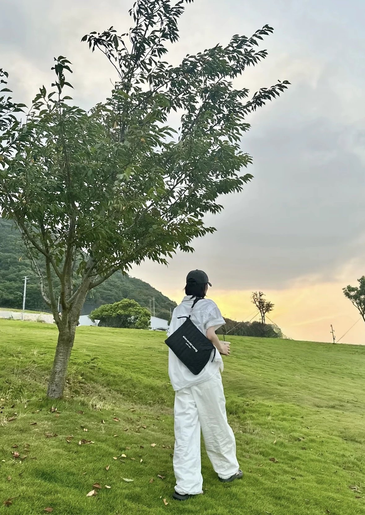 Item ID 8492 king alexander elite- High-end hardware - Print alignment 6 Next editi