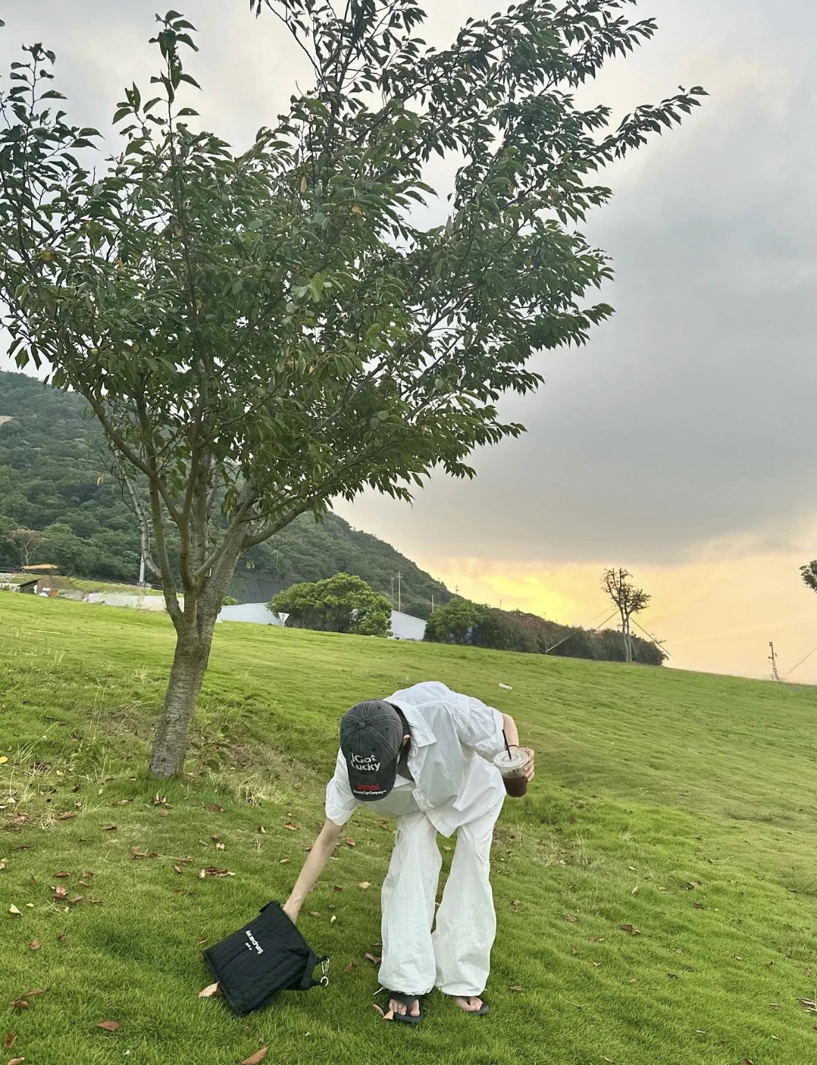 Item ID 8492 king alexander elite- High-end hardware - Print alignment 6 Next editi