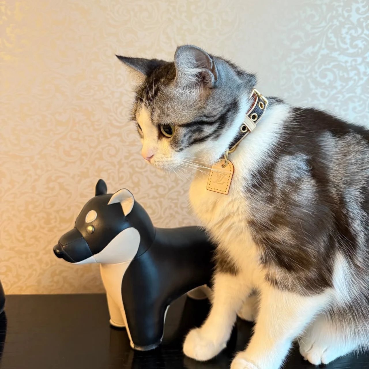 Item ID 8382 Pet preference circle -“ Adjustable traction rope ” Imported presbyopi