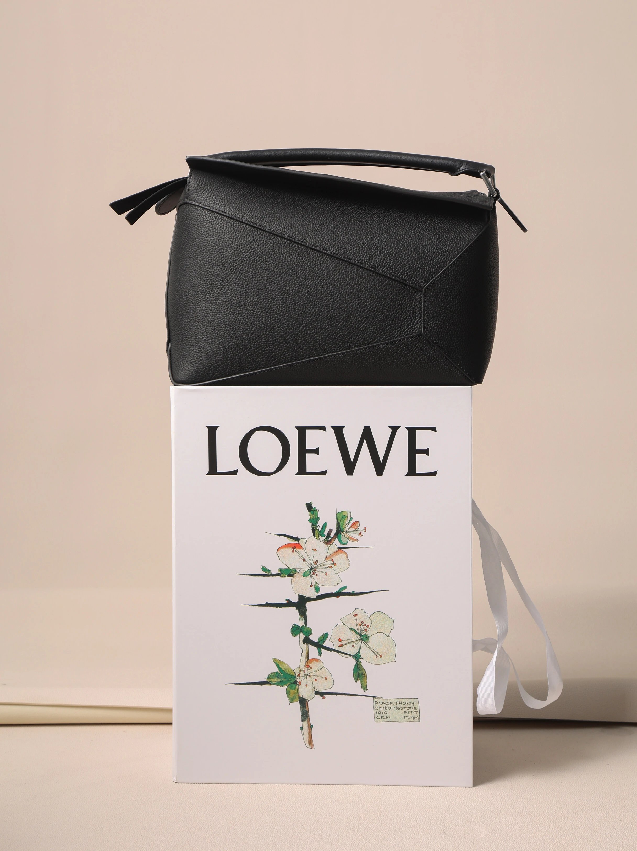 Item ID 8494 L0EWE Roewe Classic Buzz Anagram Leather Embossed Crossbody Bag Detach