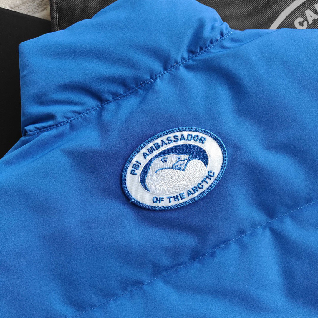 大鹅20_马甲羽绒服