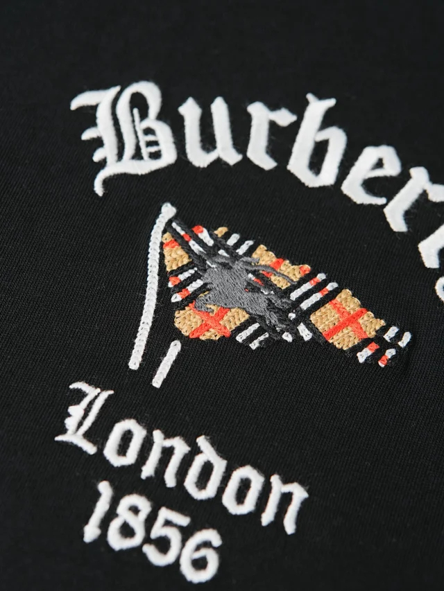 Item ID 9053 BBR Double color optional double embroidery technique round neck cotton knitted T-shirt