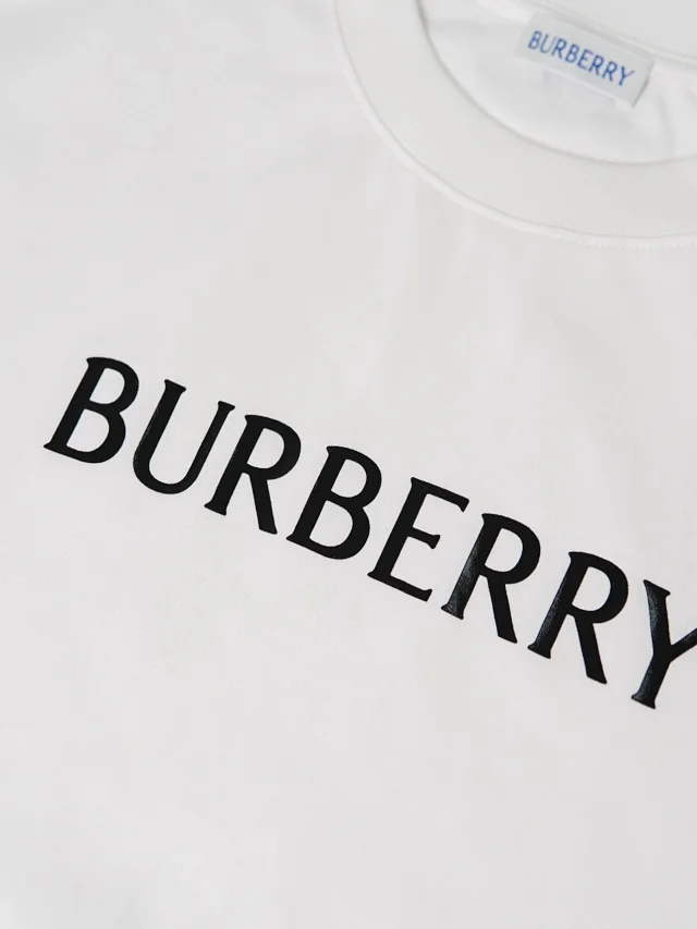 Item ID 9081 BBR special adhesive printing high volume coating round neck pullover logo slim fit T-shirt