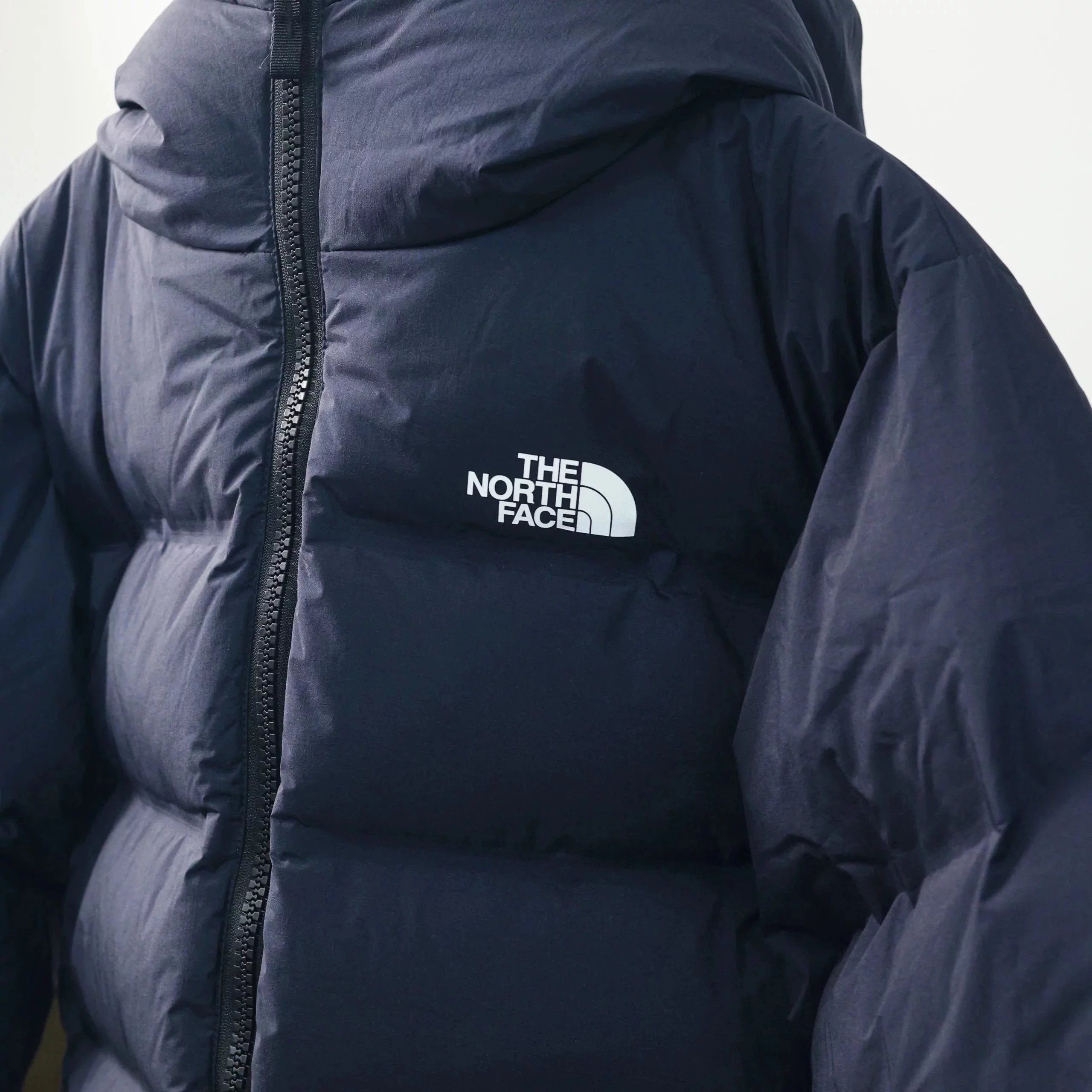 Item ID 8139 “Goretex waterproof fabric - correct 72% Down content ”-TheNorthFace n