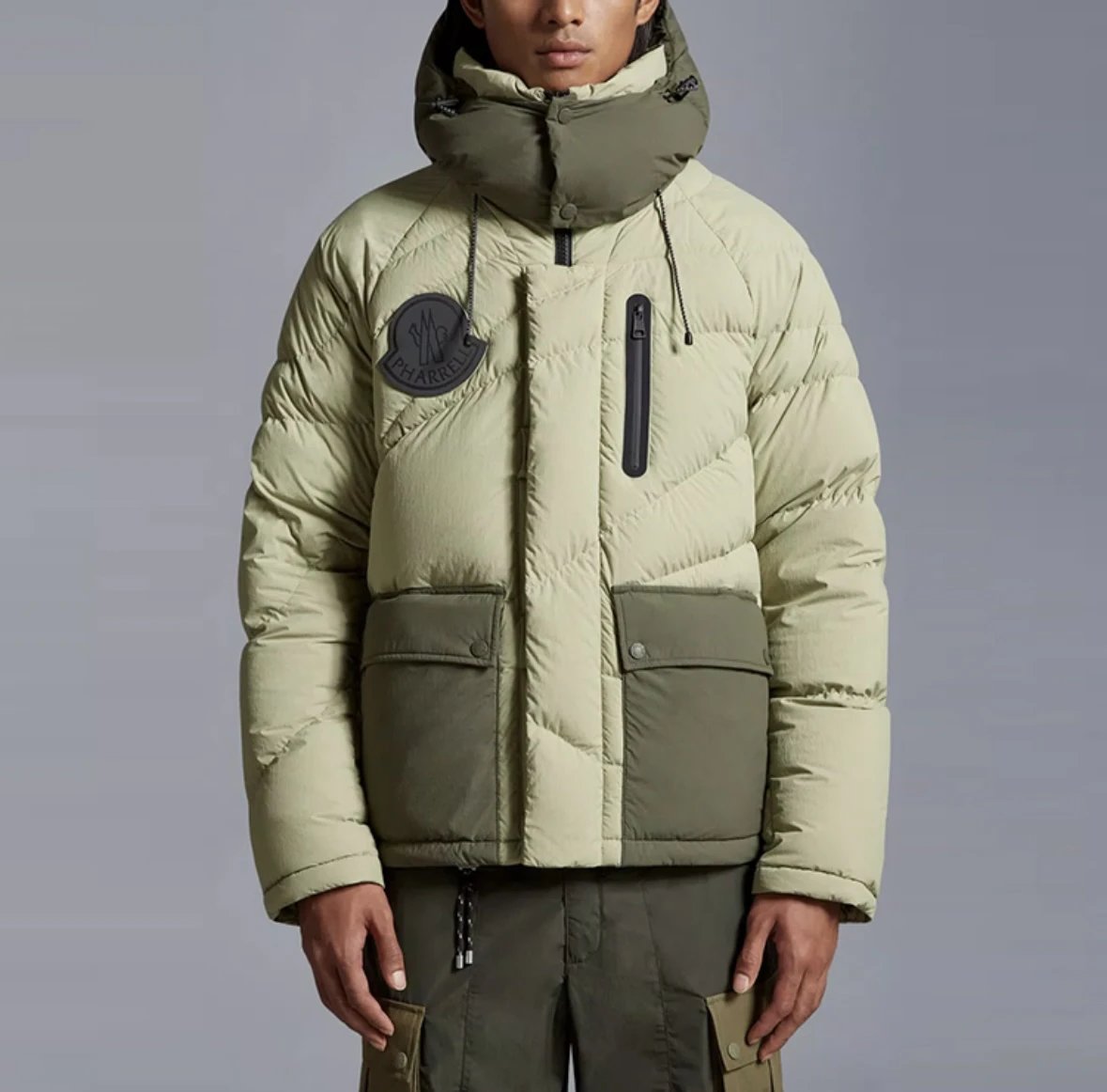 Item ID 8113 GENIUS-x- Fei Dong - Joint model -“ All excipients customized ” Hooded