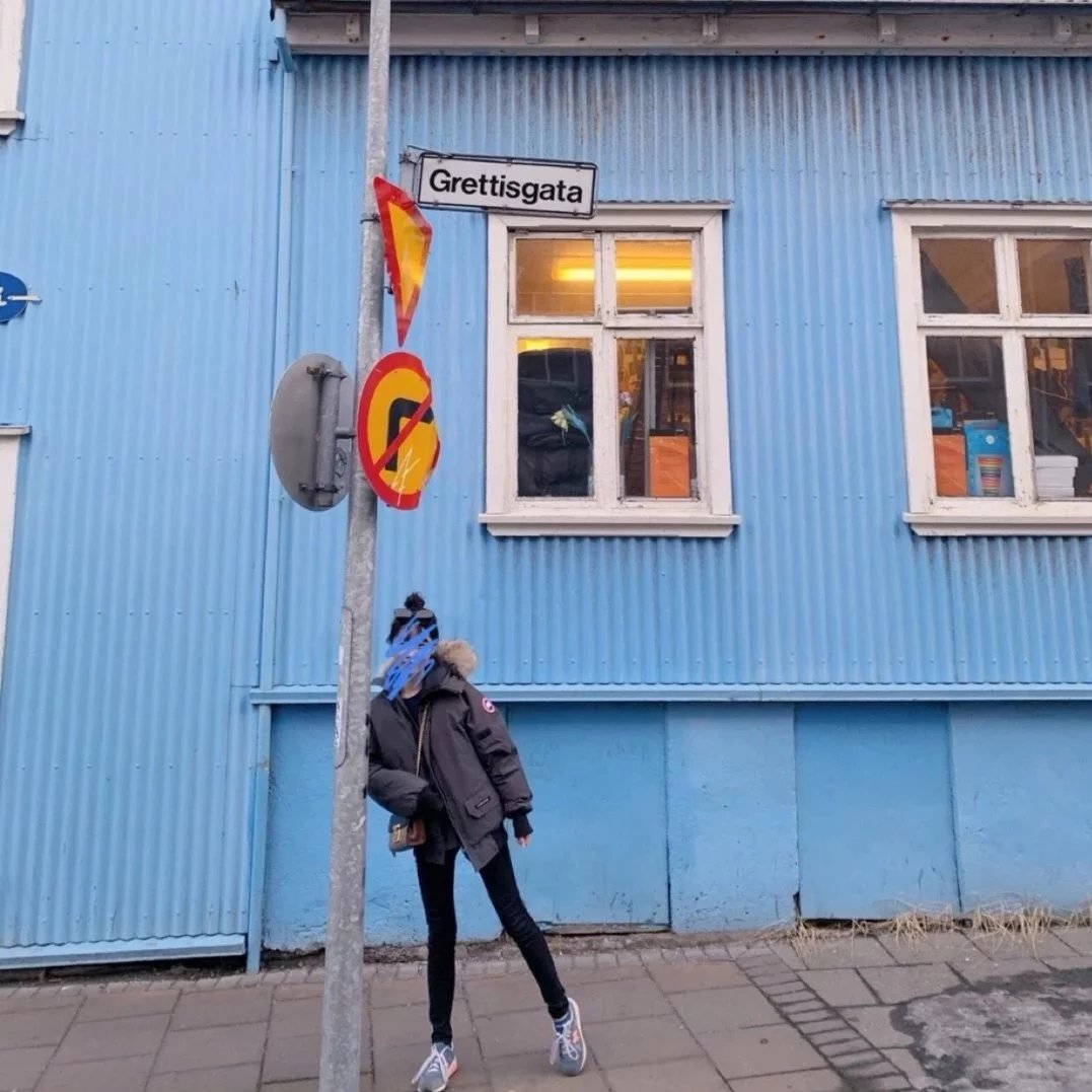 Item ID 8115 Goose brand -01 Expedition short down jacket -( Original wolf hair - F