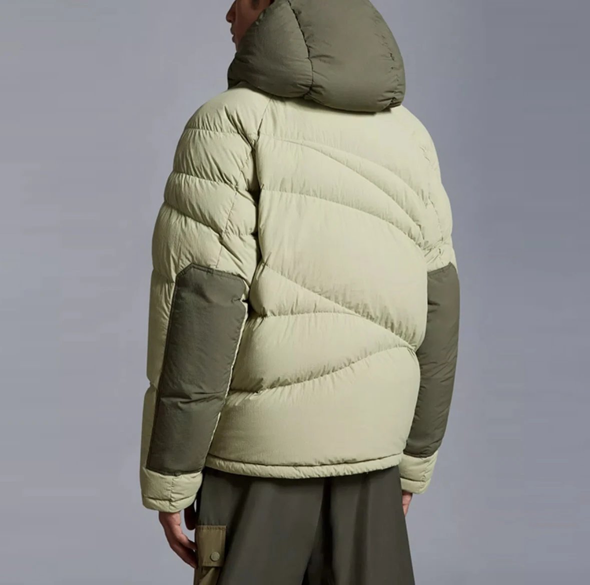 Item ID 8113 GENIUS-x- Fei Dong - Joint model -“ All excipients customized ” Hooded