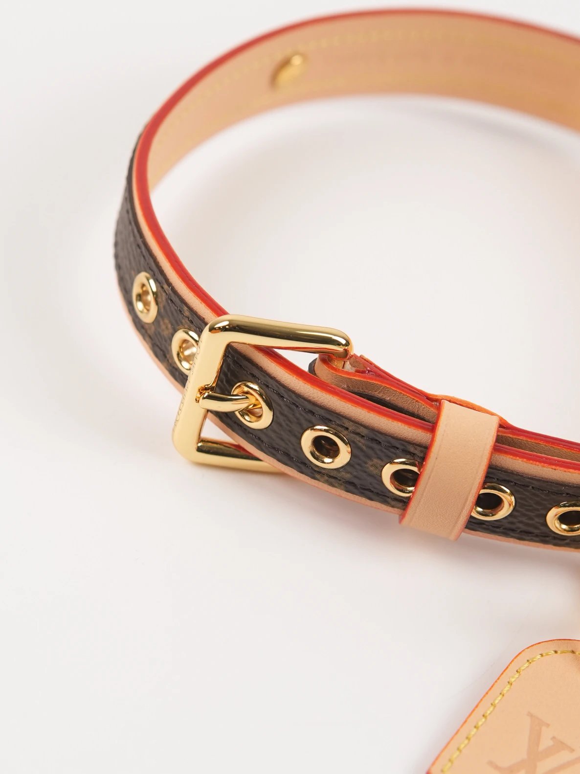 Item ID 8382 Pet preference circle -“ Adjustable traction rope ” Imported presbyopi