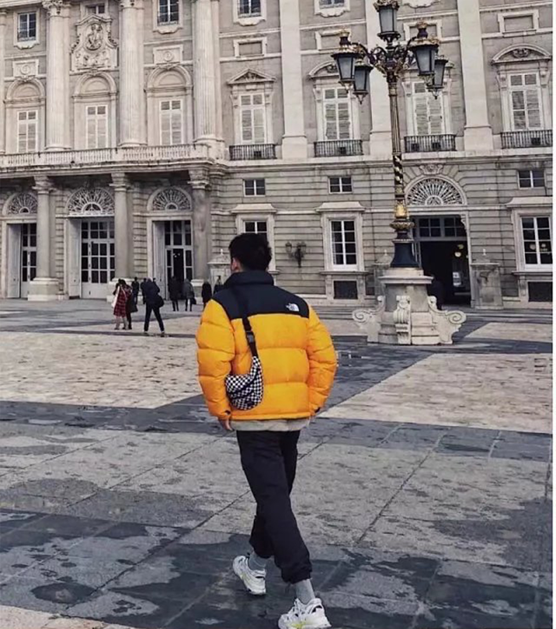 Item ID 8097 90% Down - Correct 85% Goose Down - Poison Home Magic Buckle+Hexagonal