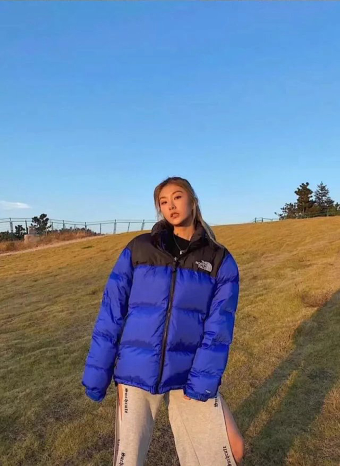 Item ID 8097 90% Down - Correct 85% Goose Down - Poison Home Magic Buckle+Hexagonal