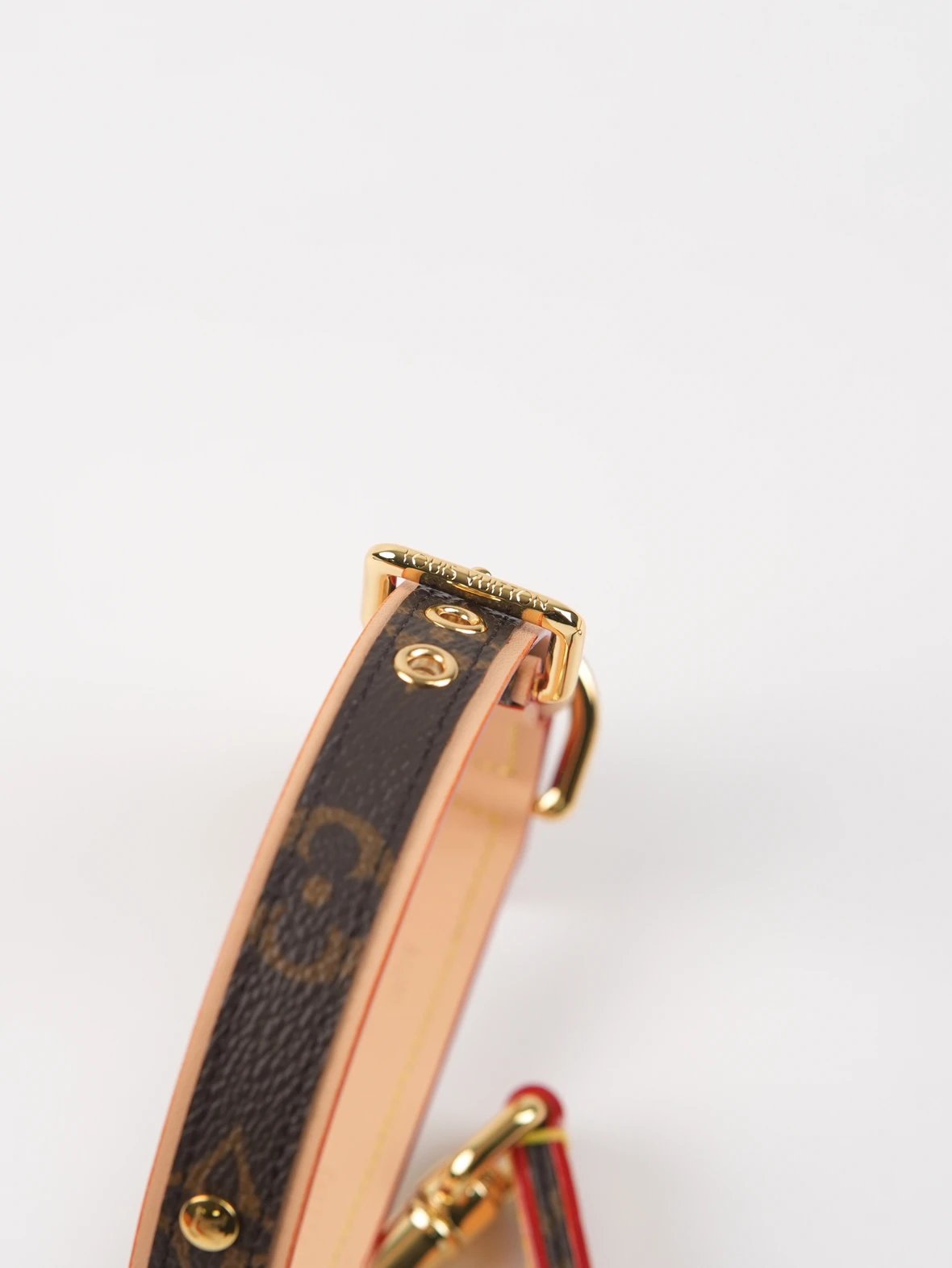 Item ID 8382 Pet preference circle -“ Adjustable traction rope ” Imported presbyopi