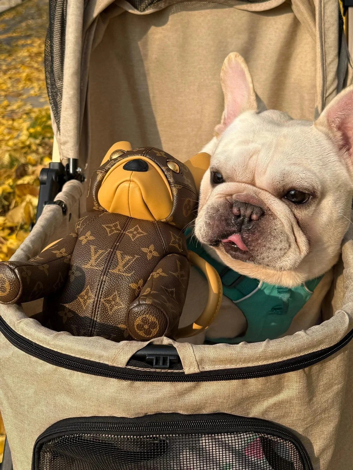 Item ID 8439 Advanced customization -2025ss-Pooch-bag- French bulldog style zipper