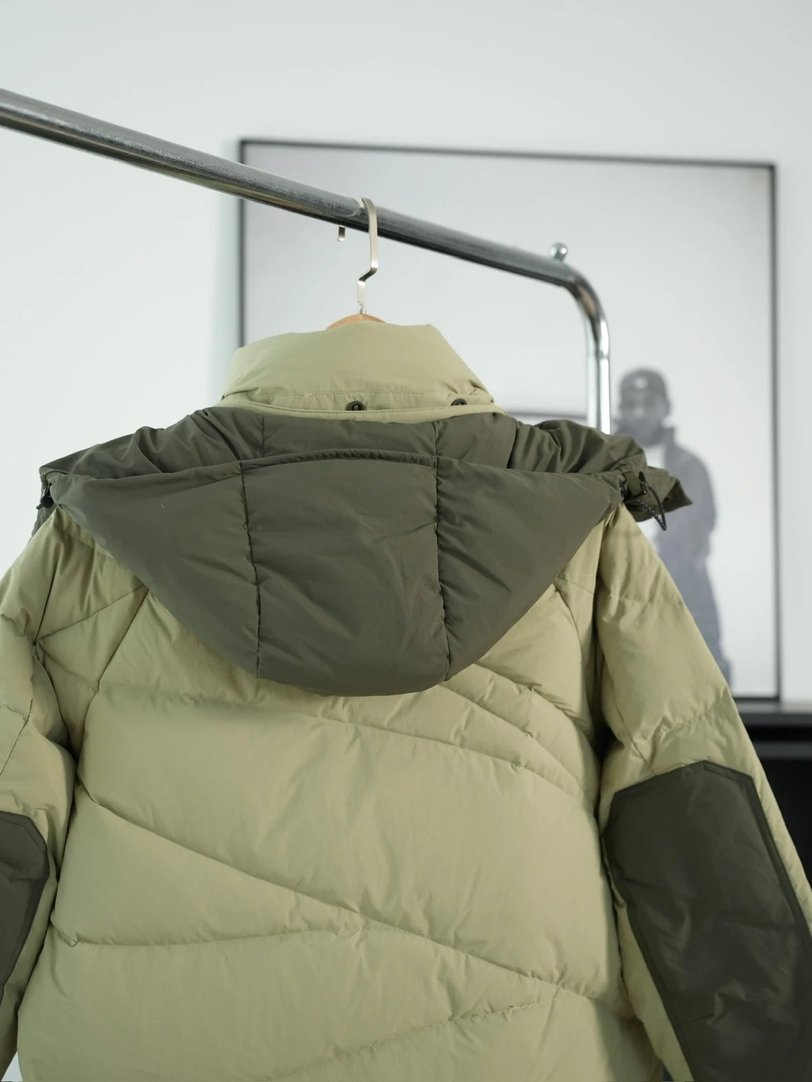 Item ID 8113 GENIUS-x- Fei Dong - Joint model -“ All excipients customized ” Hooded