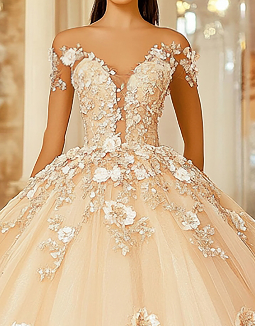 Champagne Floral Off the Shoulder Princess Applique Quinceanera Dress