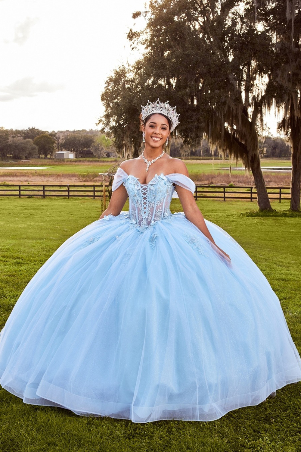 Light Blue Corset Princess Ball Gown Tulle Long Quinceanera Dress with Appliques