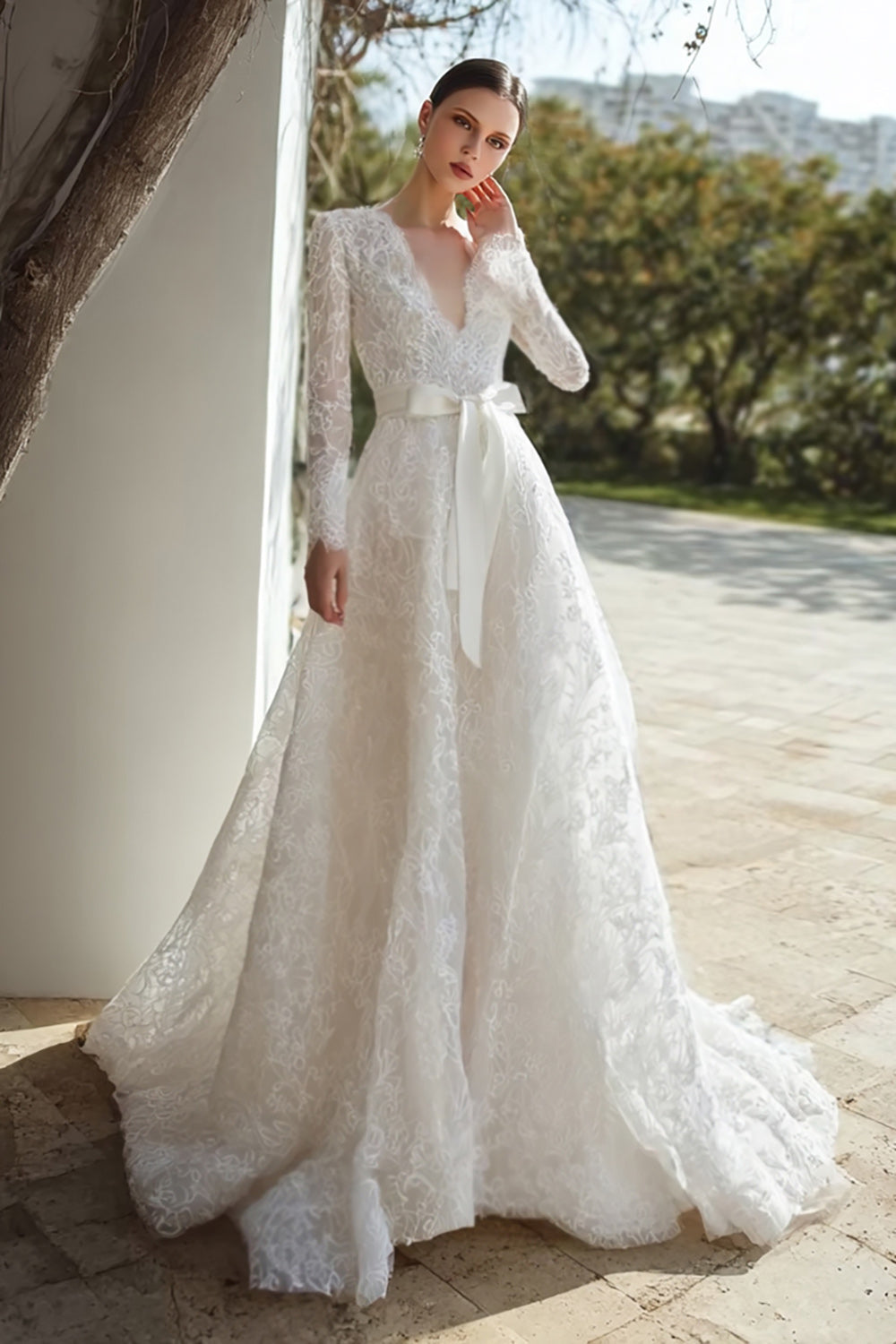 Ivory Lace V-Neck Ball Gown Sweep Train Wedding Dress with Sleeves